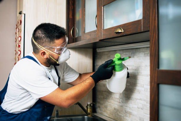 Trusted Lake California, CA Pest Control Experts