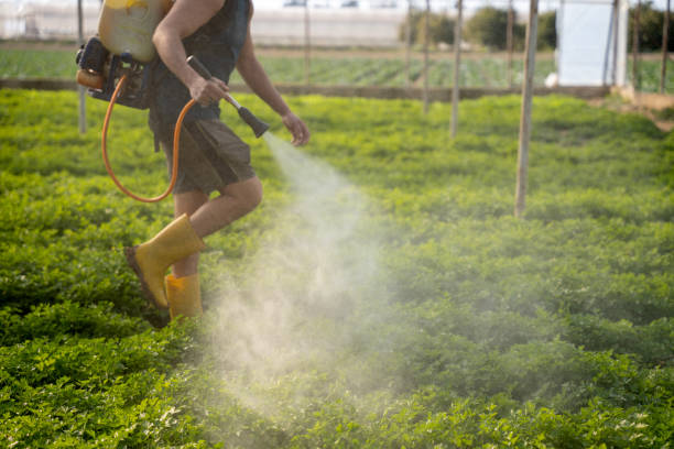 Best Pest Inspection Near Me  in Lake Lifornia, CA
