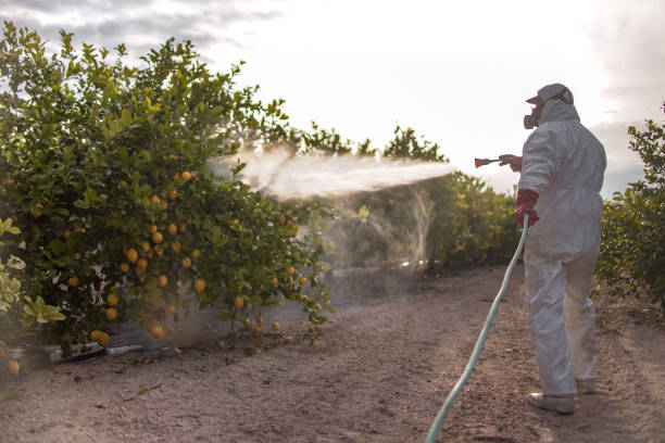 Best Pest Inspection Near Me  in Lake Lifornia, CA
