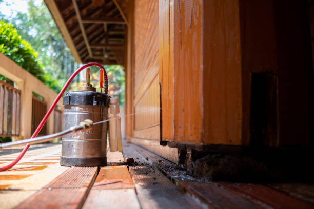 Best Termite Control Services  in Lake Lifornia, CA